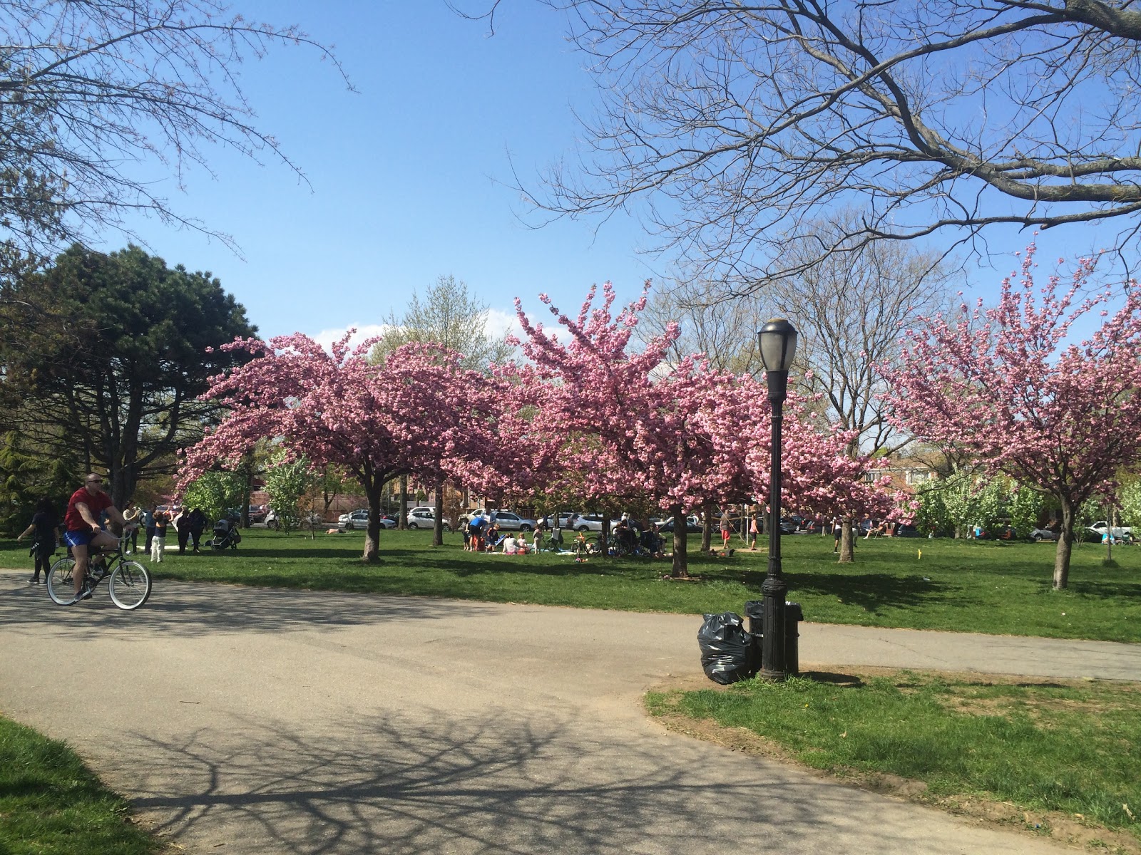 Photo of Juniper Valley Park in Middle Village City, New York, United States - 2 Picture of Point of interest, Establishment, Park