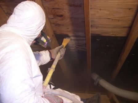 Photo of Absolutely Spotless Mold Inspection, Testing & Removal in Richmond City, New York, United States - 6 Picture of Point of interest, Establishment