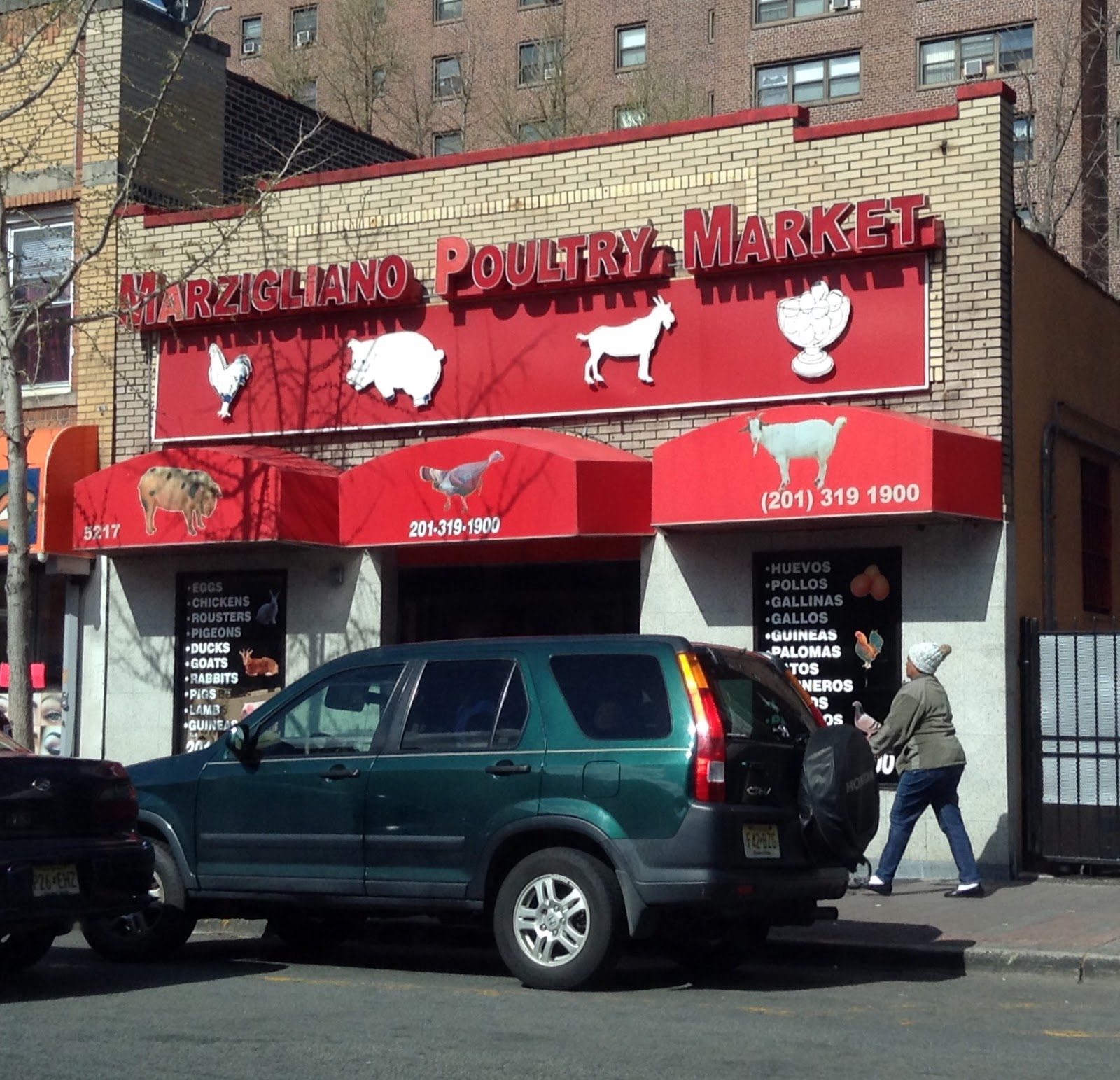 Photo of Marzigliano Live Poultry Market in West New York City, New Jersey, United States - 1 Picture of Food, Point of interest, Establishment, Store