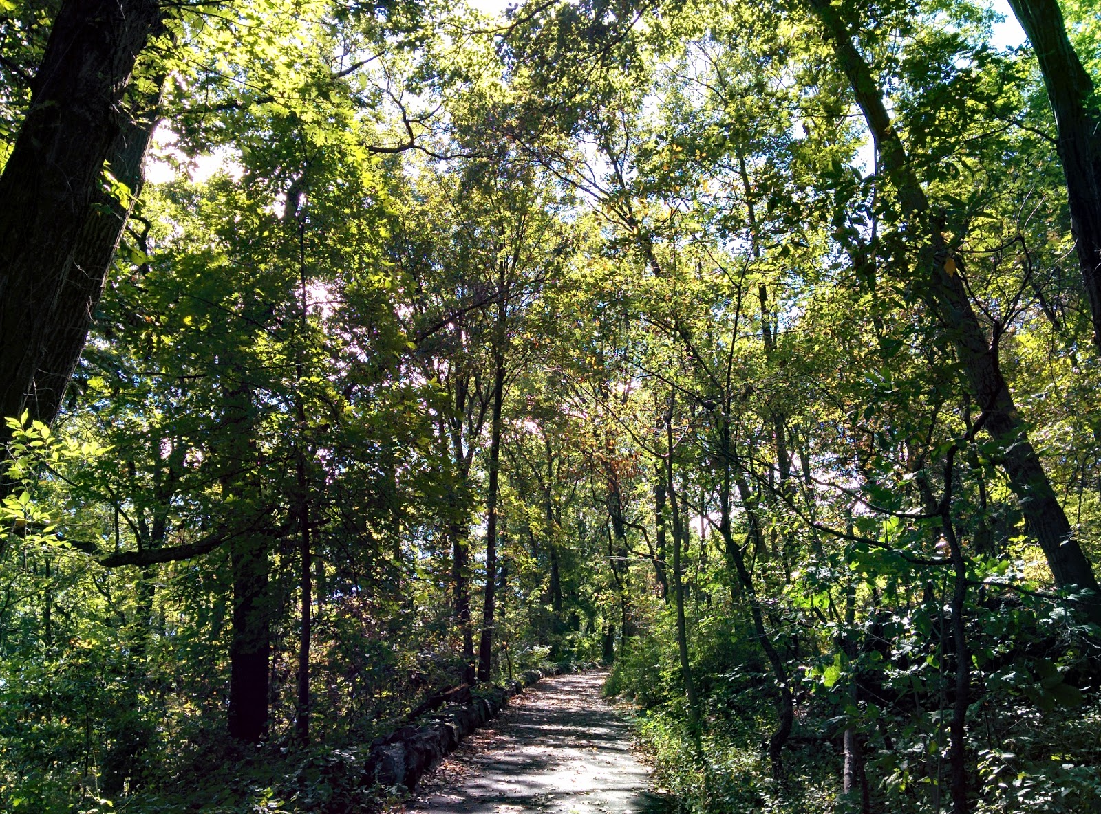 Photo of Inwood Hill Park in New York City, New York, United States - 10 Picture of Point of interest, Establishment, Park