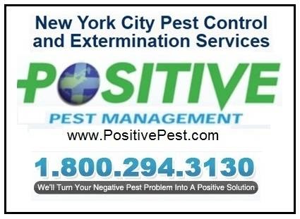 Photo of Positive Pest Management in New York City, New York, United States - 6 Picture of Point of interest, Establishment, Store, Home goods store