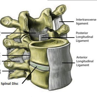 Photo of HQ Spinal Kinetics East in Union City, New Jersey, United States - 1 Picture of Point of interest, Establishment, Health