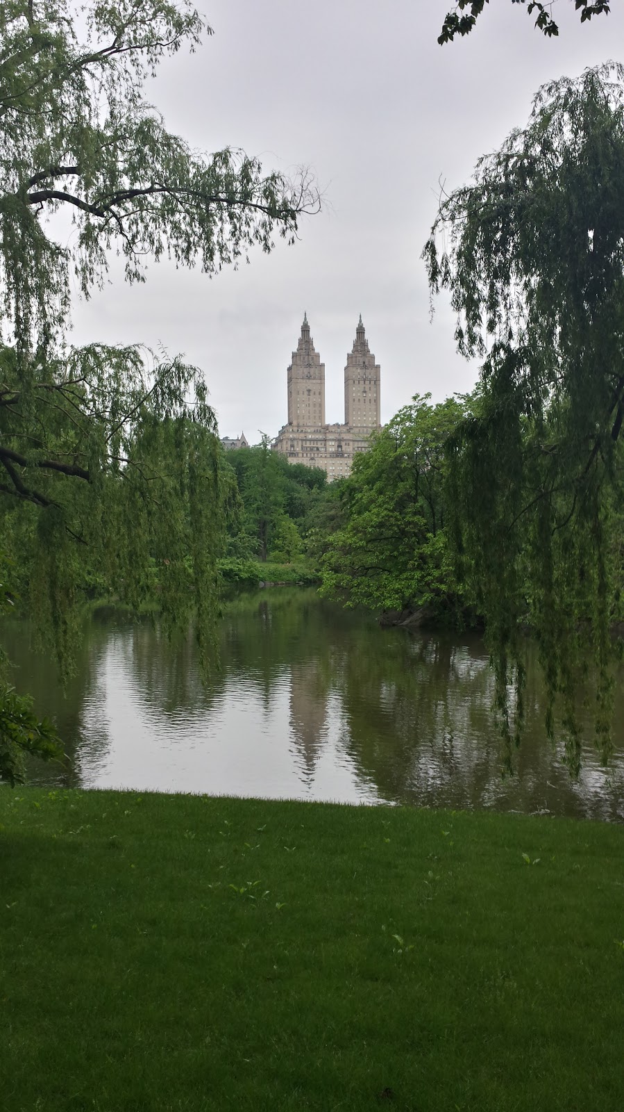 Photo of Treefoil Park in New York City, New York, United States - 1 Picture of Point of interest, Establishment