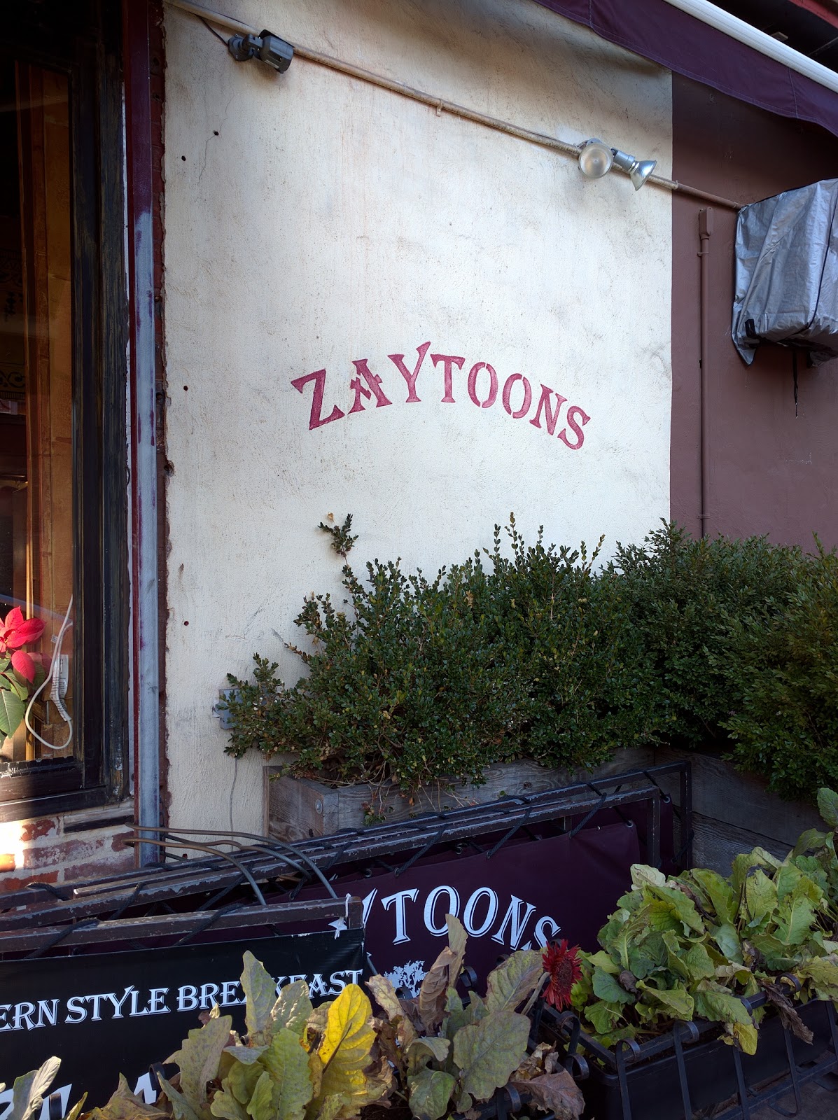 Photo of Zaytoons in Kings County City, New York, United States - 4 Picture of Restaurant, Food, Point of interest, Establishment