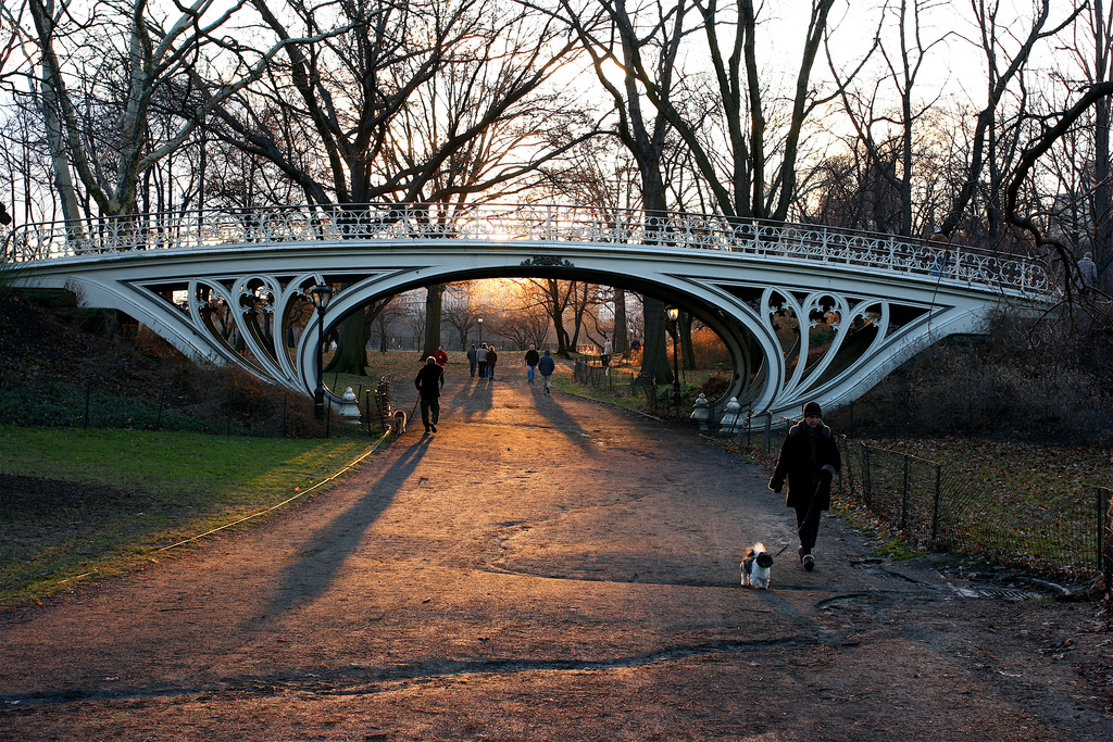 Photo of North Meadow in New York City, New York, United States - 6 Picture of Point of interest, Establishment, Park