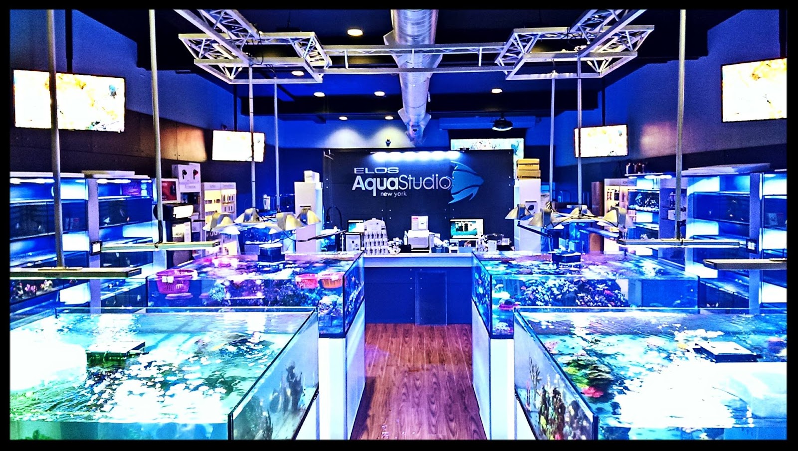 Photo of AquaStudio Reef Exotics New York/New Jersey Metro in Short Hills City, New Jersey, United States - 8 Picture of Point of interest, Establishment, Store, Pet store