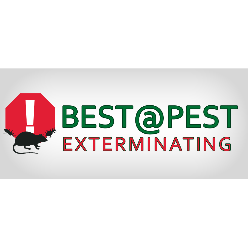 Photo of Pest Control Brooklyn - Best at Pest NYC in Brooklyn City, New York, United States - 3 Picture of Point of interest, Establishment, Store, Home goods store