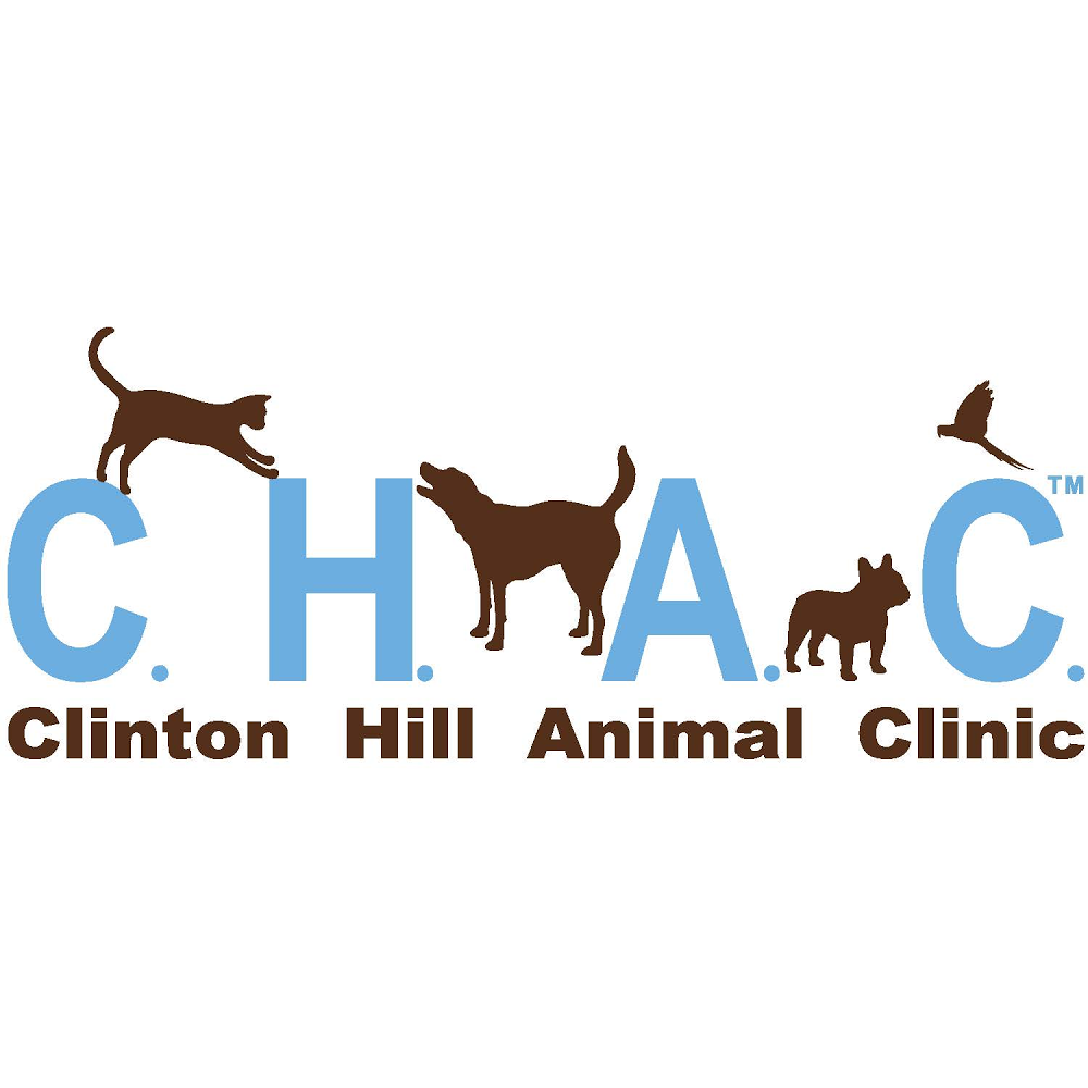 Photo of Clinton Hill Animal Clinic in Kings County City, New York, United States - 2 Picture of Point of interest, Establishment, Veterinary care