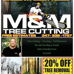 Photo of UNBEATABLE PRICED Tree Service, Bronx, Manhattan, NYC, Specializing In Large Tree Removal, Pruning in Bronx City, New York, United States - 1 Picture of Point of interest, Establishment