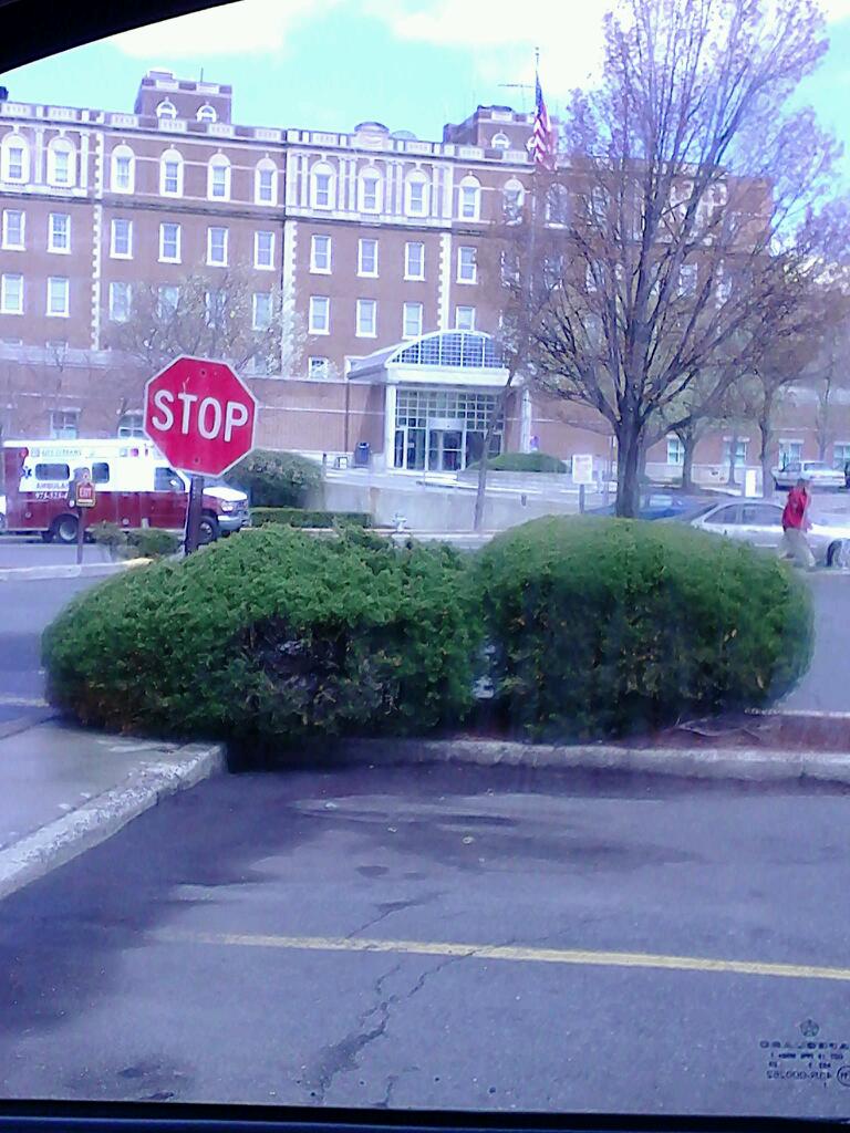 Photo of East Orange General Hospital in East Orange City, New Jersey, United States - 1 Picture of Point of interest, Establishment, Hospital