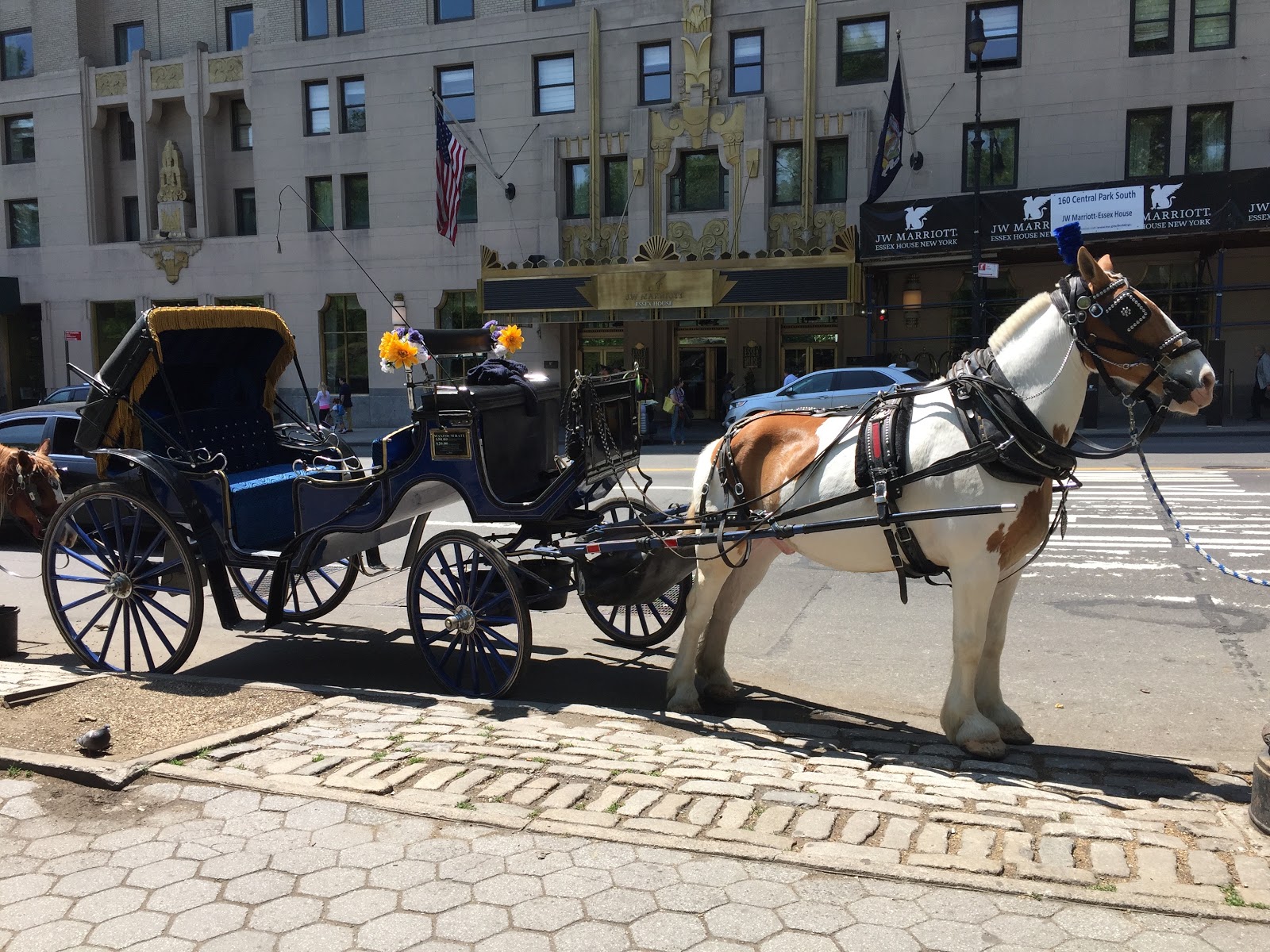 Photo of Central Park Carriage Rides in Manhattan City, New York, United States - 9 Picture of Point of interest, Establishment, Travel agency