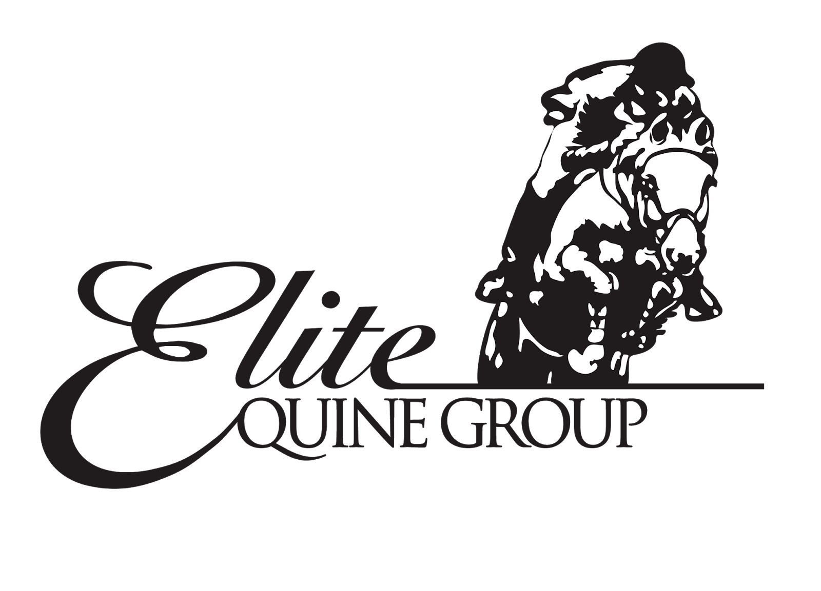 Photo of Elite Equine Group in Clifton City, New Jersey, United States - 1 Picture of Point of interest, Establishment