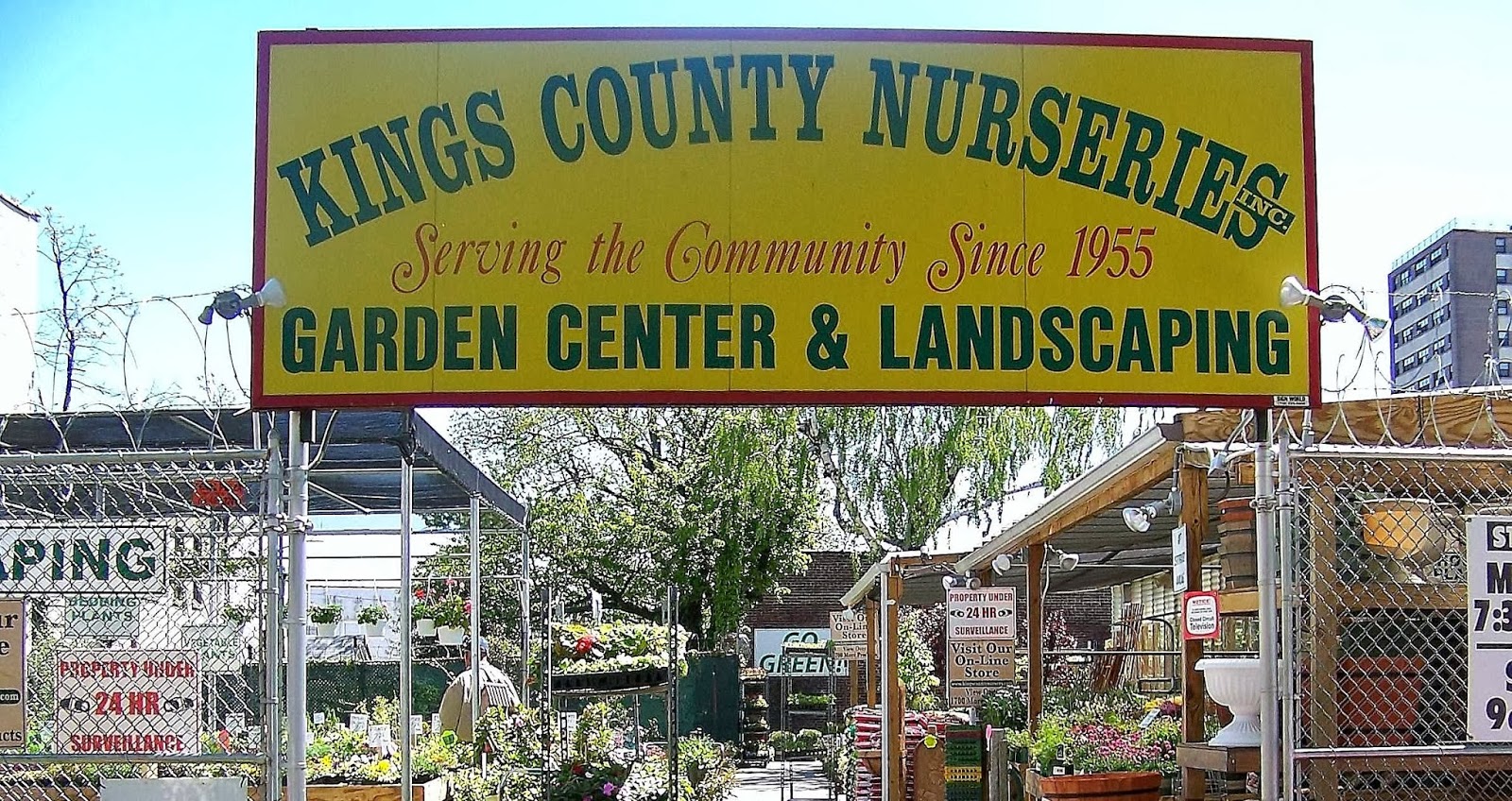 Photo of Kings County Nurseries inc. in Brooklyn City, New York, United States - 1 Picture of Food, Point of interest, Establishment