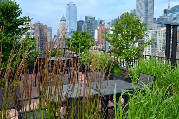 Photo of Jeffrey Erb Landscape Design in New York City, New York, United States - 4 Picture of Point of interest, Establishment, General contractor