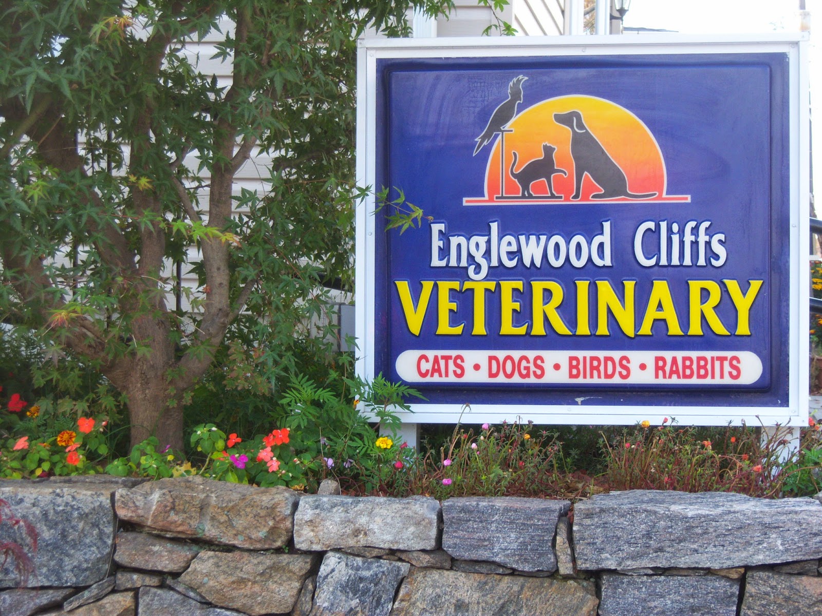 Photo of Englewood Cliffs Veterinary, PA in Englewood Cliffs City, New Jersey, United States - 2 Picture of Point of interest, Establishment, Veterinary care