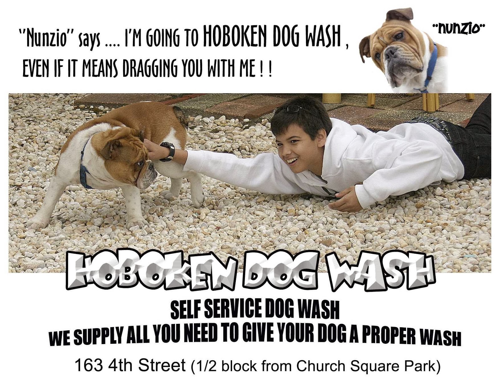 Photo of Hoboken Dog Wash in Hoboken City, New Jersey, United States - 4 Picture of Point of interest, Establishment