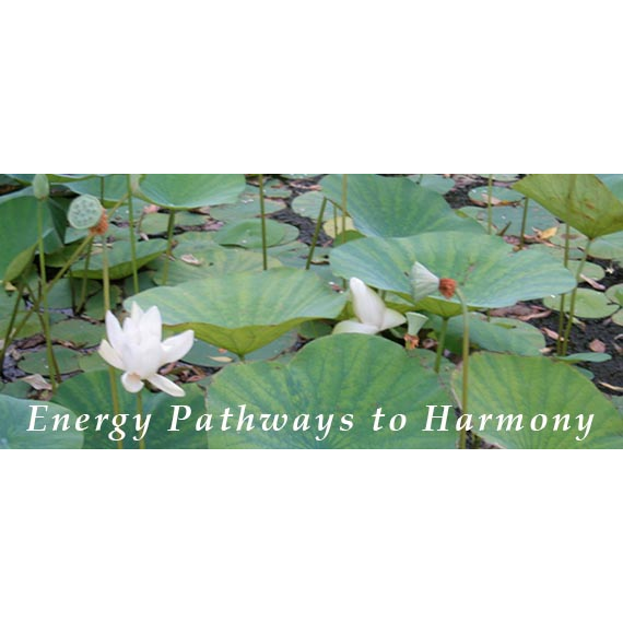 Photo of Energy Pathways to Harmony in Maplewood City, New Jersey, United States - 2 Picture of Point of interest, Establishment, Health