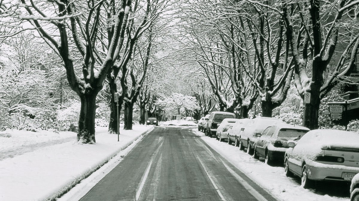 Photo of Hudson County Snow Removal in Hoboken City, New Jersey, United States - 2 Picture of Point of interest, Establishment