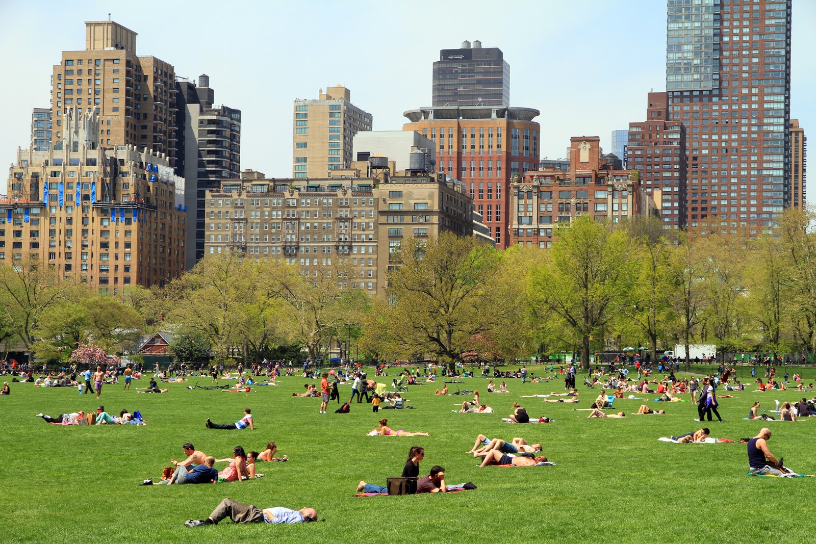 Photo of North Meadow in New York City, New York, United States - 1 Picture of Point of interest, Establishment, Park