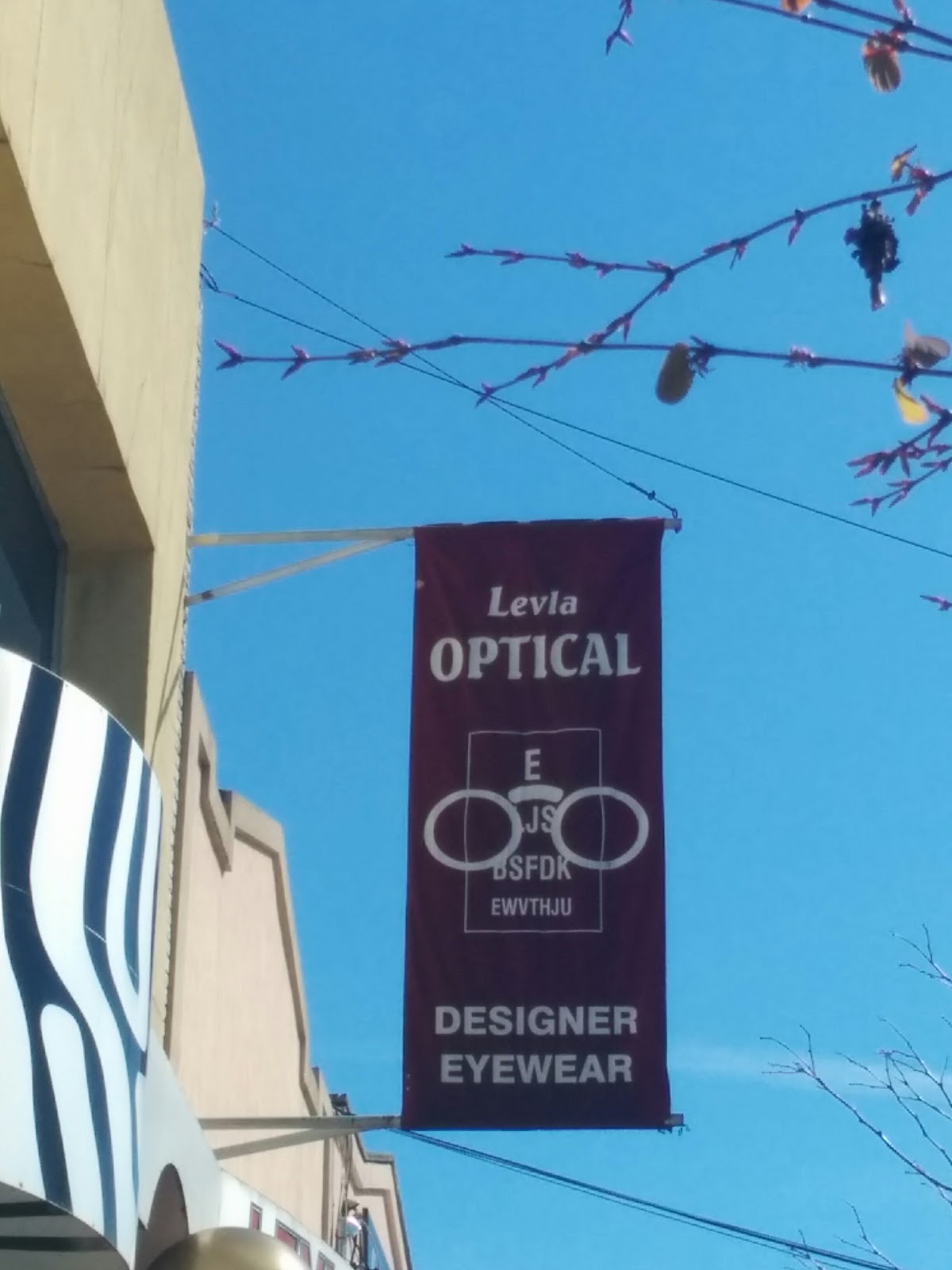 Photo of Levla Optical in Kings County City, New York, United States - 1 Picture of Point of interest, Establishment, Store, Health