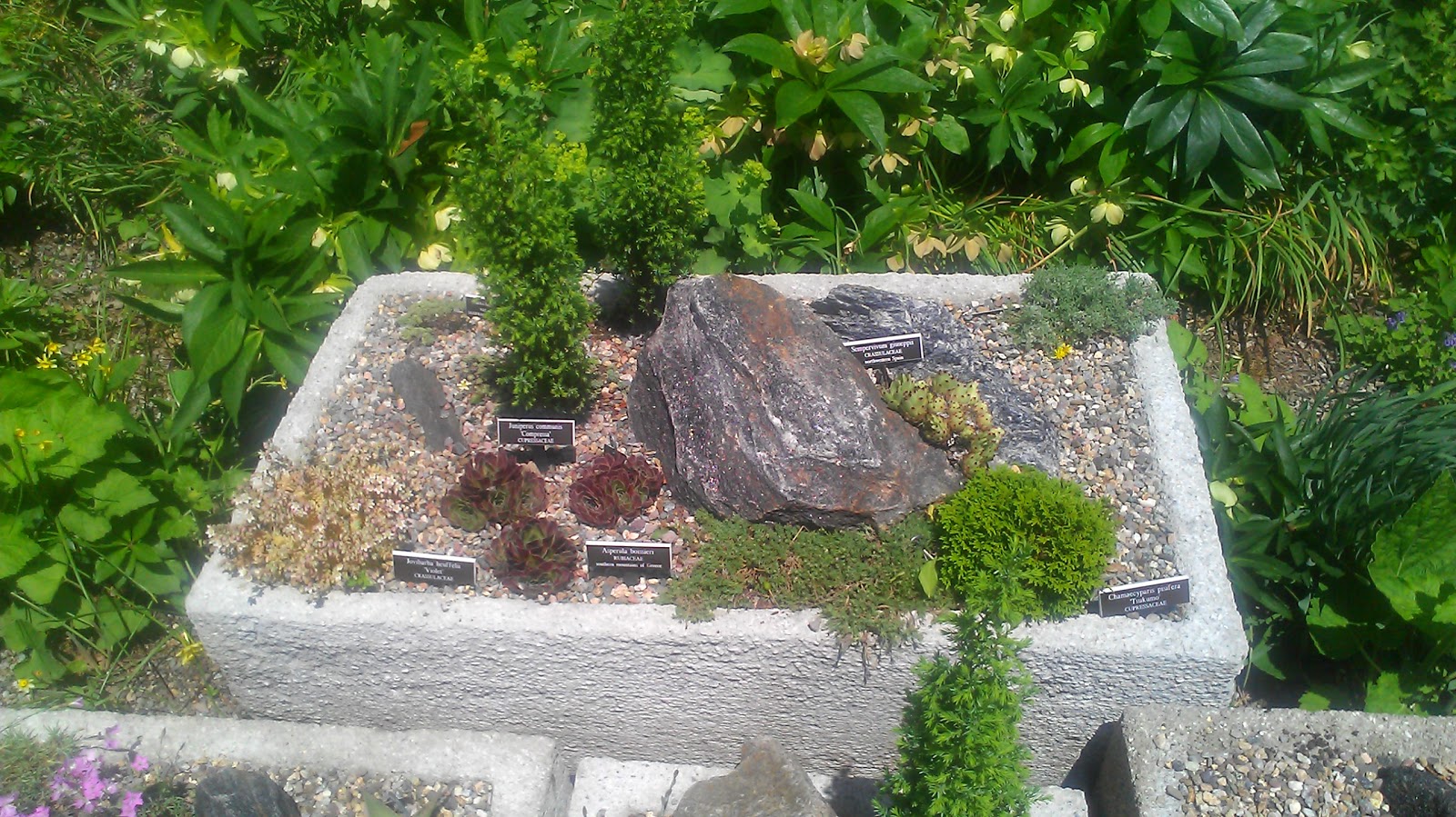 Photo of Rock Garden in Bronx City, New York, United States - 3 Picture of Point of interest, Establishment, Park