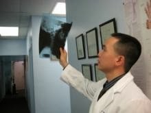 Photo of BNN Chiropractic P.C.- Dr. Binh Nguyen in Bayside City, New York, United States - 1 Picture of Point of interest, Establishment, Health, Doctor