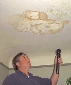 Photo of Advanced Mold Testing in Staten Island City, New York, United States - 8 Picture of Point of interest, Establishment, General contractor
