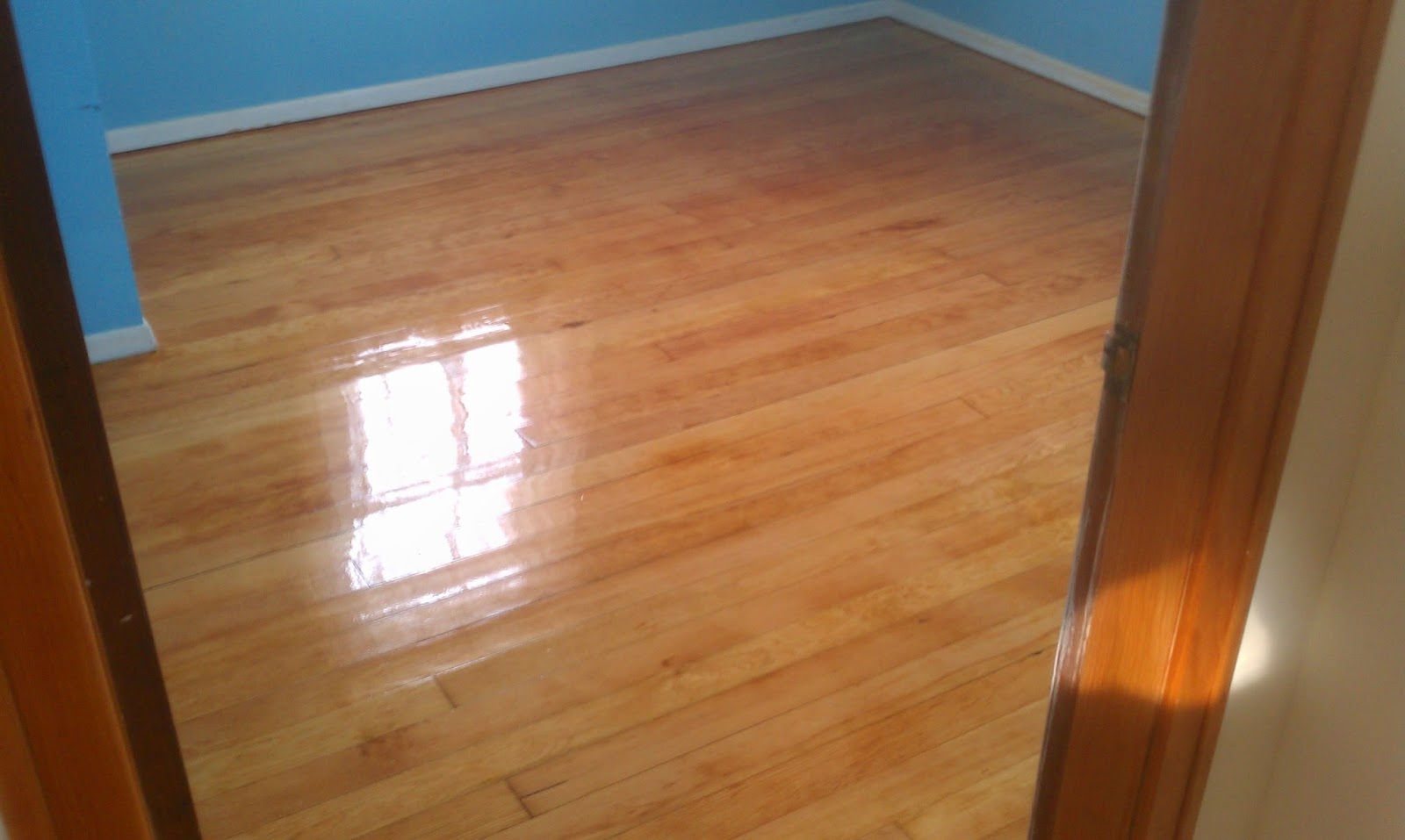 Photo of American German Floor Scraping in Queens City, New York, United States - 7 Picture of Point of interest, Establishment, General contractor