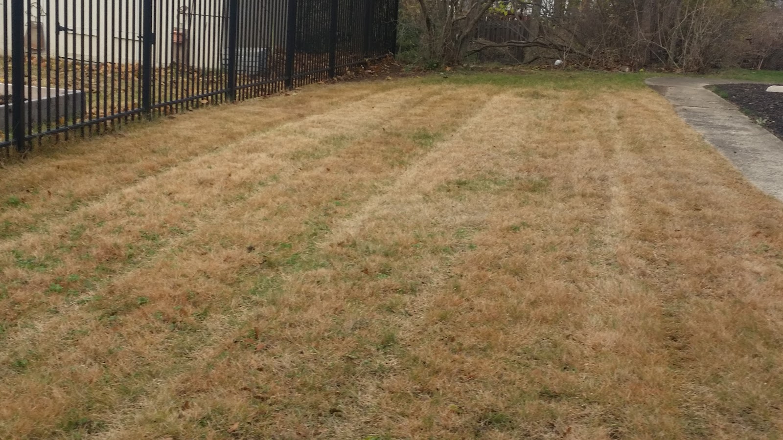 Photo of MurgasLandscaping LLC. in Newark City, New Jersey, United States - 4 Picture of Point of interest, Establishment