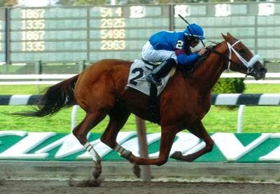 Photo of Gary P Gullo Racing Stable in Elmont City, New York, United States - 5 Picture of Food, Point of interest, Establishment