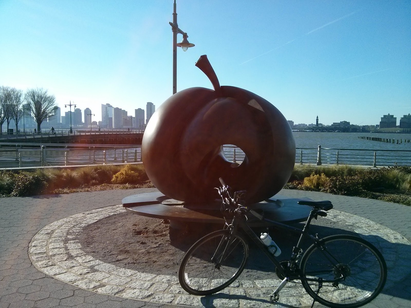 Photo of The Apple in New York City, New York, United States - 2 Picture of Point of interest, Establishment, Park
