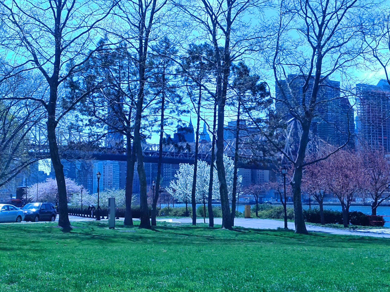 Photo of Playground in New York City, New York, United States - 2 Picture of Point of interest, Establishment