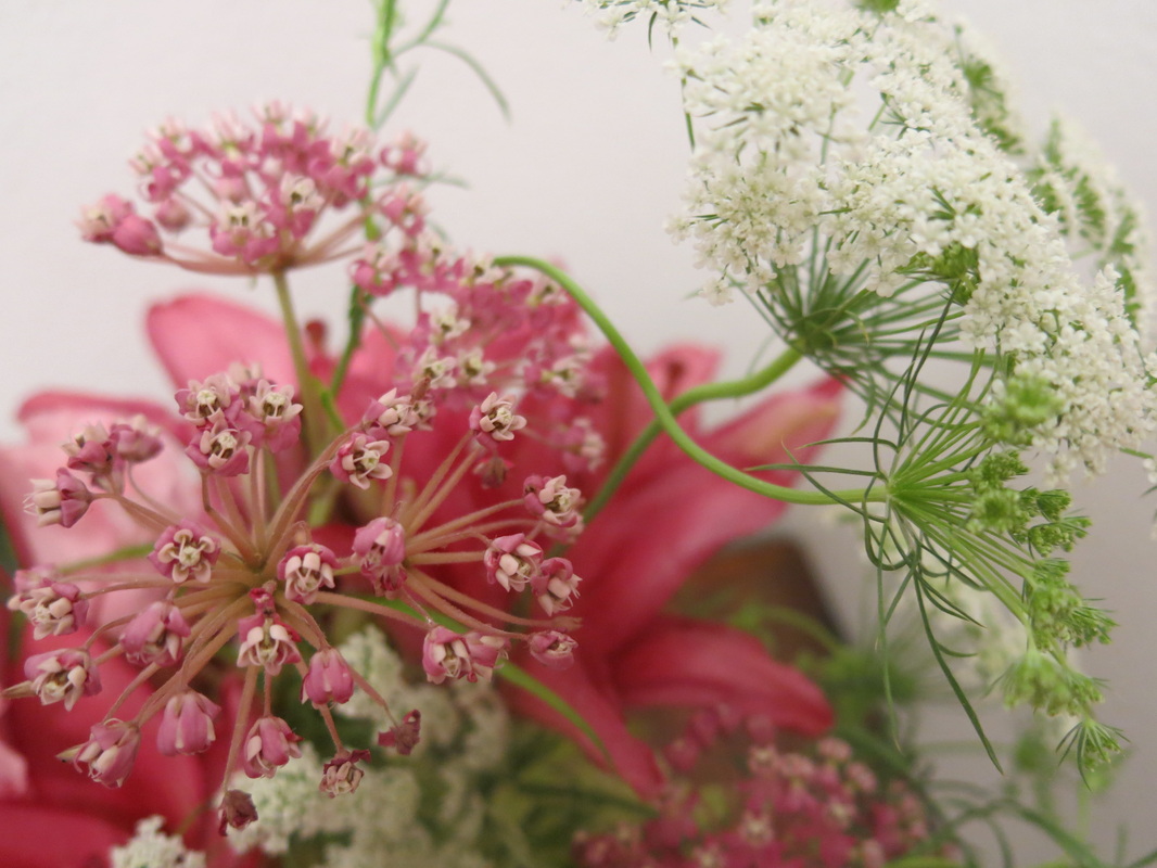 Photo of honeysuckle hill flowers in New York City, New York, United States - 10 Picture of Point of interest, Establishment, Store, Florist