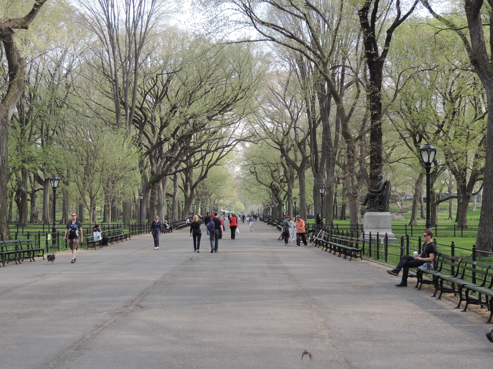 Photo of The Mall and Literary Walk in New York City, New York, United States - 2 Picture of Point of interest, Establishment