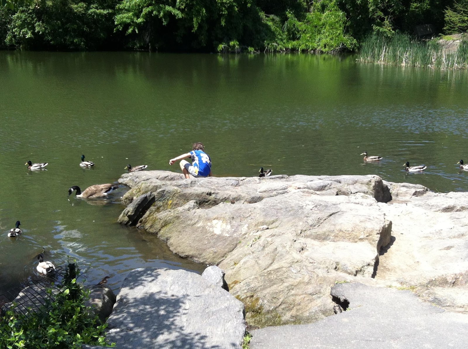 Photo of Hallett Nature Sanctuary in Manhattan City, New York, United States - 4 Picture of Point of interest, Establishment, Park