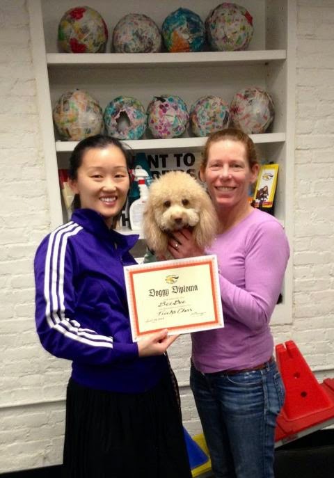 Photo of Andrea Arden Dog Training in New York City, New York, United States - 10 Picture of Point of interest, Establishment