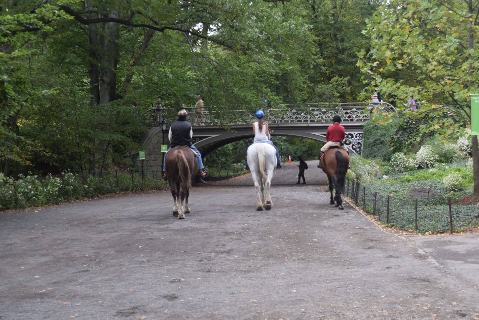 Photo of Central Park Horseback Rides in New York City, New York, United States - 2 Picture of Point of interest, Establishment, Travel agency