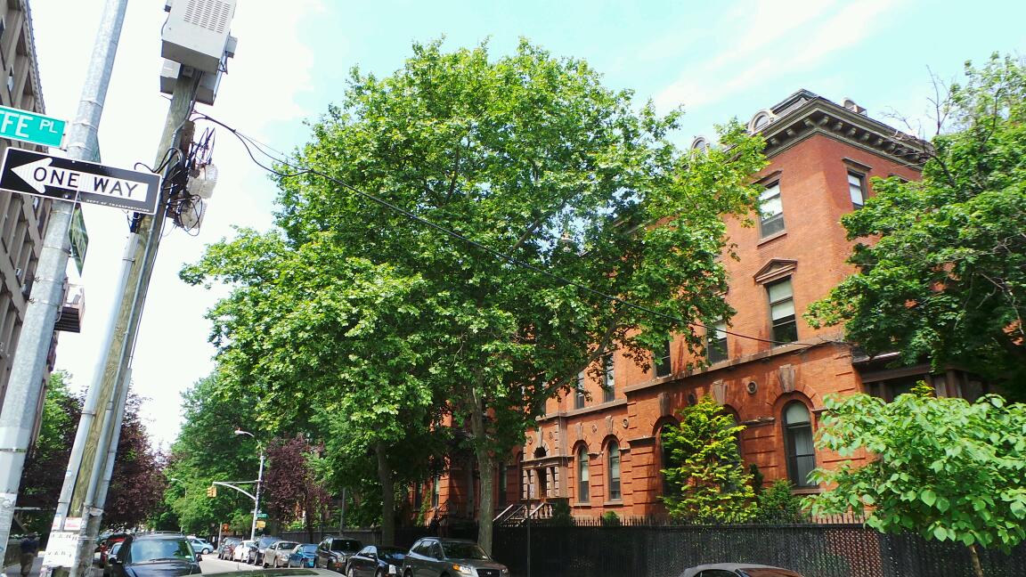 Photo of Sisters of Mercy in Brooklyn City, New York, United States - 2 Picture of Point of interest, Establishment, Church, Place of worship