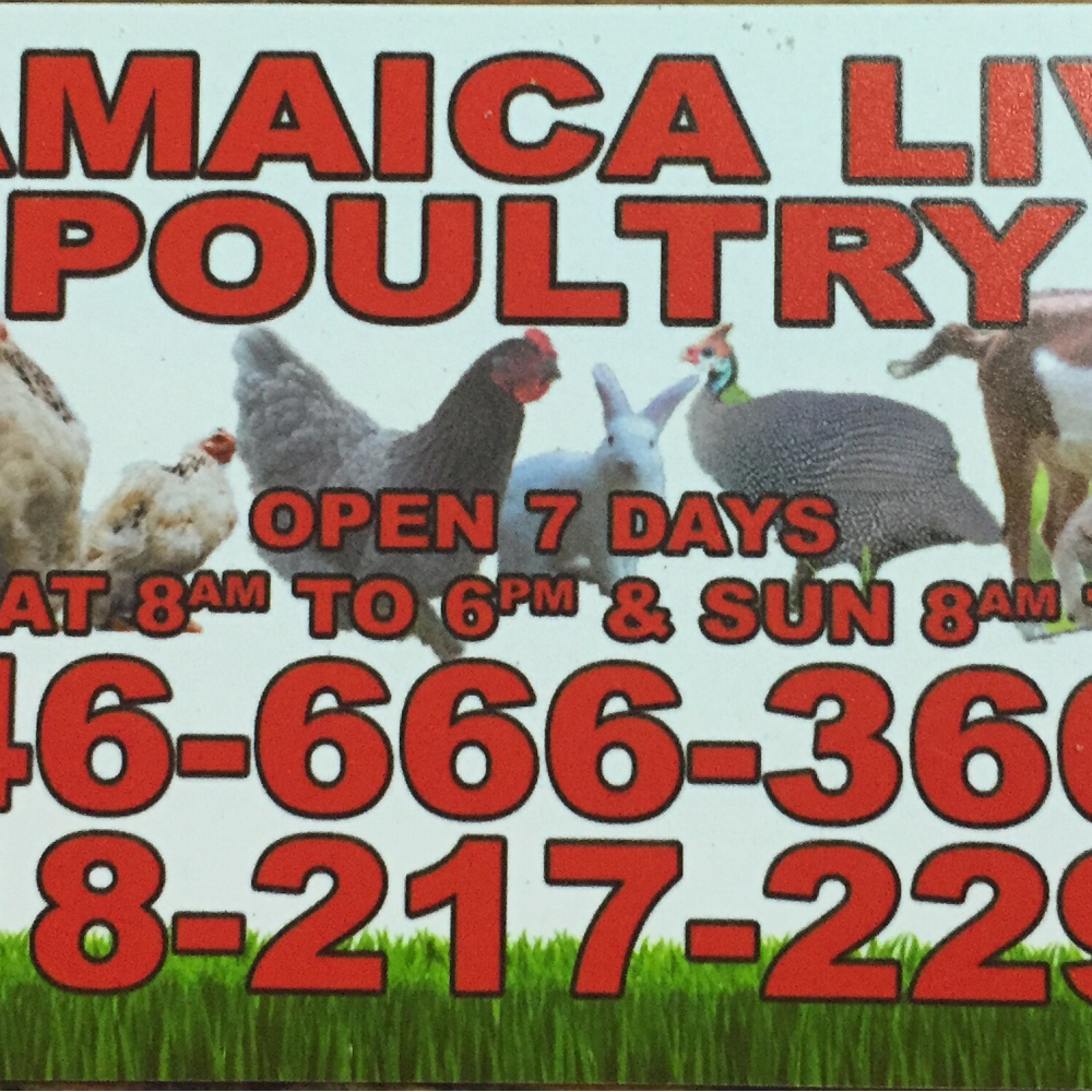 Photo of Jamaica Live Poultry Corp in Jamaica City, New York, United States - 2 Picture of Food, Point of interest, Establishment