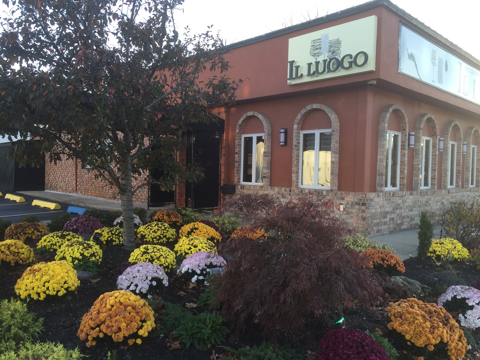 Photo of Il LUOGO restaurant in Lynbrook City, New York, United States - 6 Picture of Restaurant, Food, Point of interest, Establishment, Bar