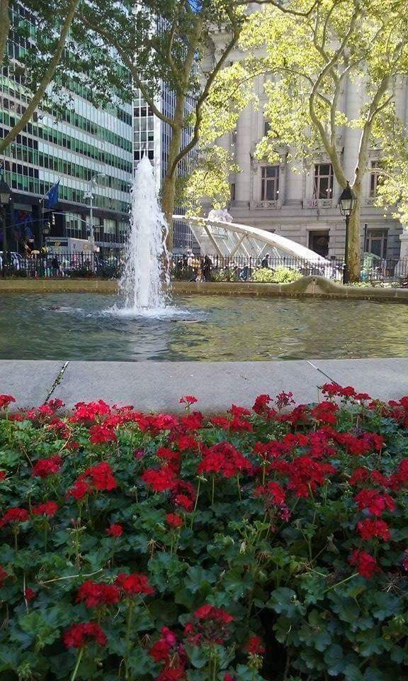 Photo of New York Public Library in Richmond City, New York, United States - 1 Picture of Point of interest, Establishment, Library