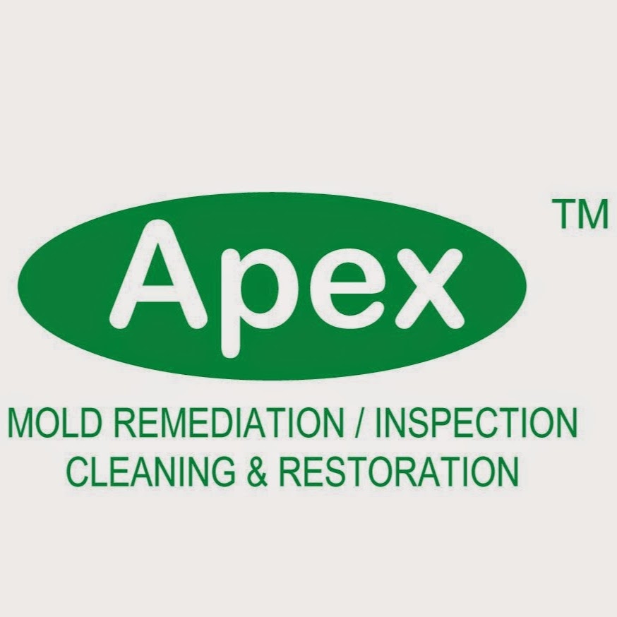 Photo of Apex Mold Specialists in Kings County City, New York, United States - 9 Picture of Point of interest, Establishment, General contractor