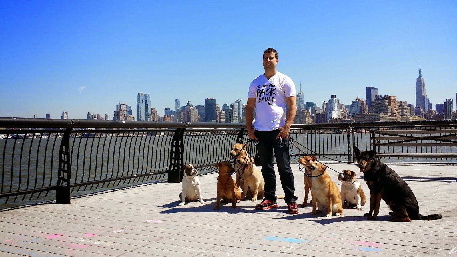 Photo of Pack Leader Dogs in Hoboken City, New Jersey, United States - 2 Picture of Point of interest, Establishment