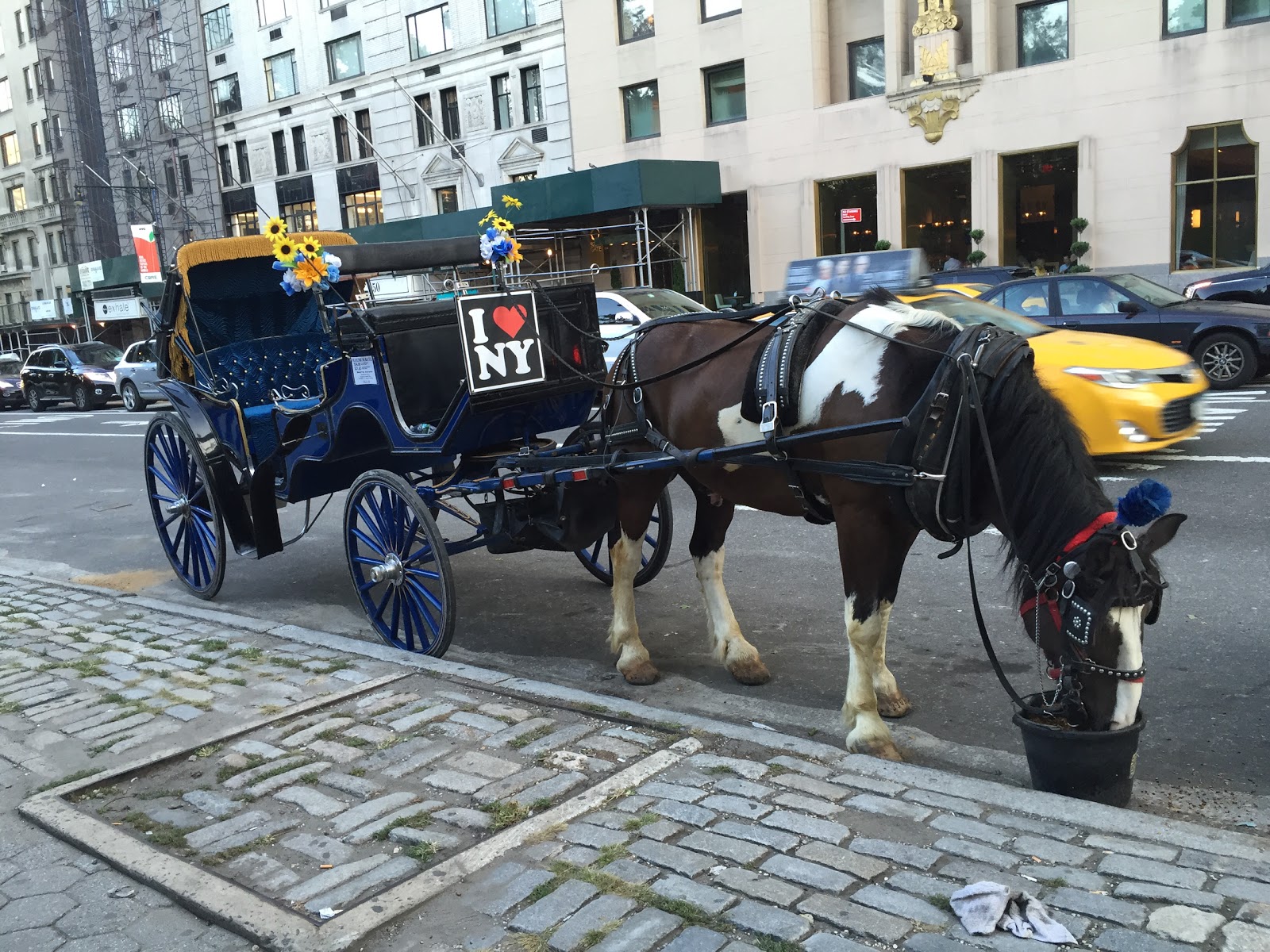 Photo of Central Park Carriage Rides in Manhattan City, New York, United States - 5 Picture of Point of interest, Establishment, Travel agency