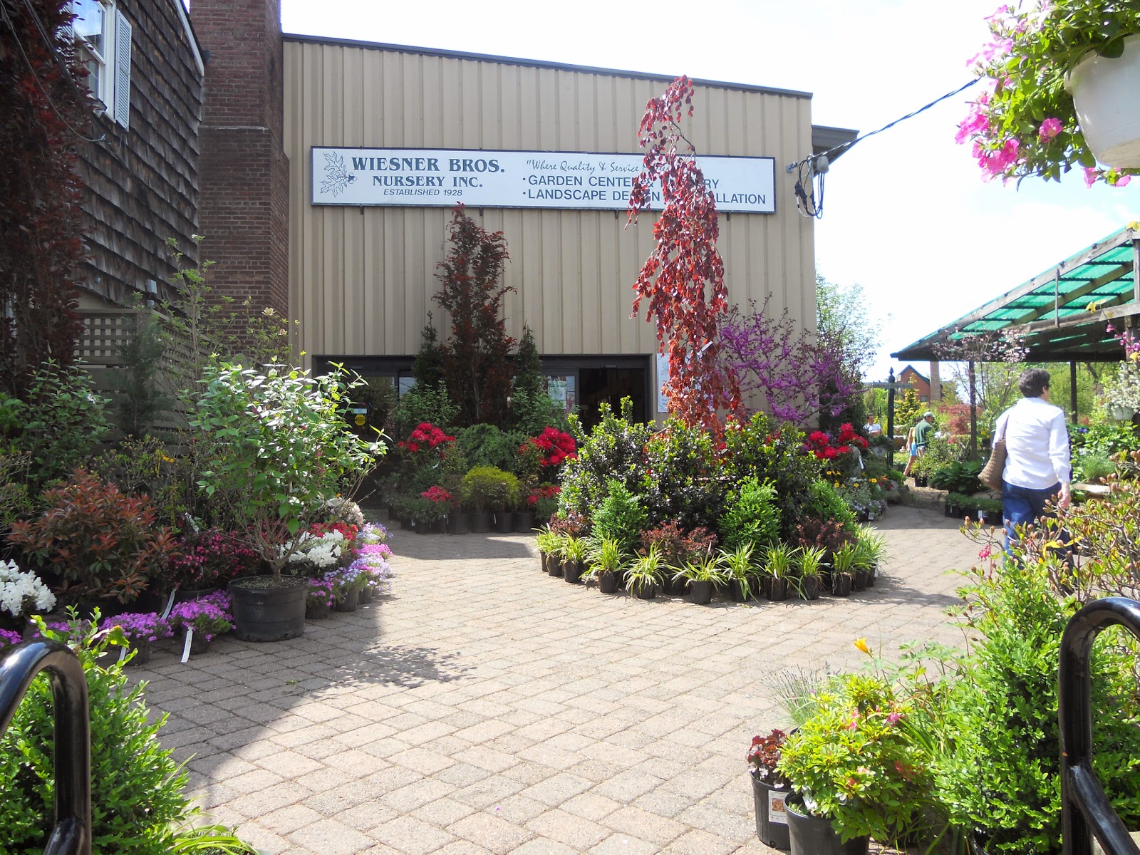 Photo of Wiesner Brothers Nursery Inc in Staten Island City, New York, United States - 1 Picture of Food, Point of interest, Establishment, General contractor