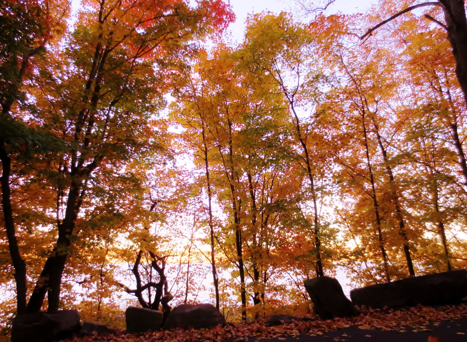 Photo of Palisades Interstate Park Commission: Alpine Boat Basin & Picnic Area in Alpine City, New Jersey, United States - 2 Picture of Point of interest, Establishment, Park