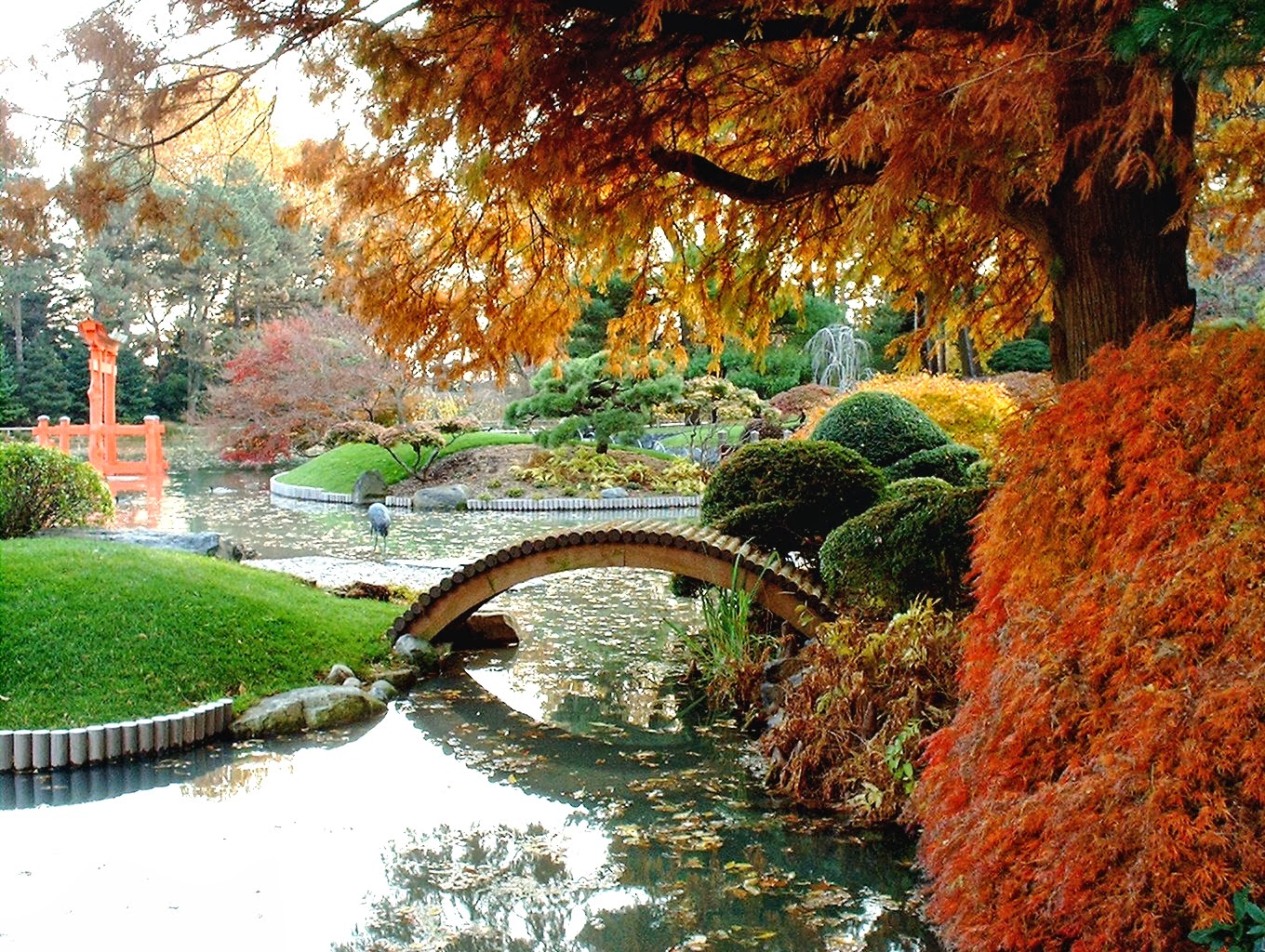 Photo of Japanese Hill-and-Pond Garden in Brooklyn City, New York, United States - 8 Picture of Point of interest, Establishment, Park