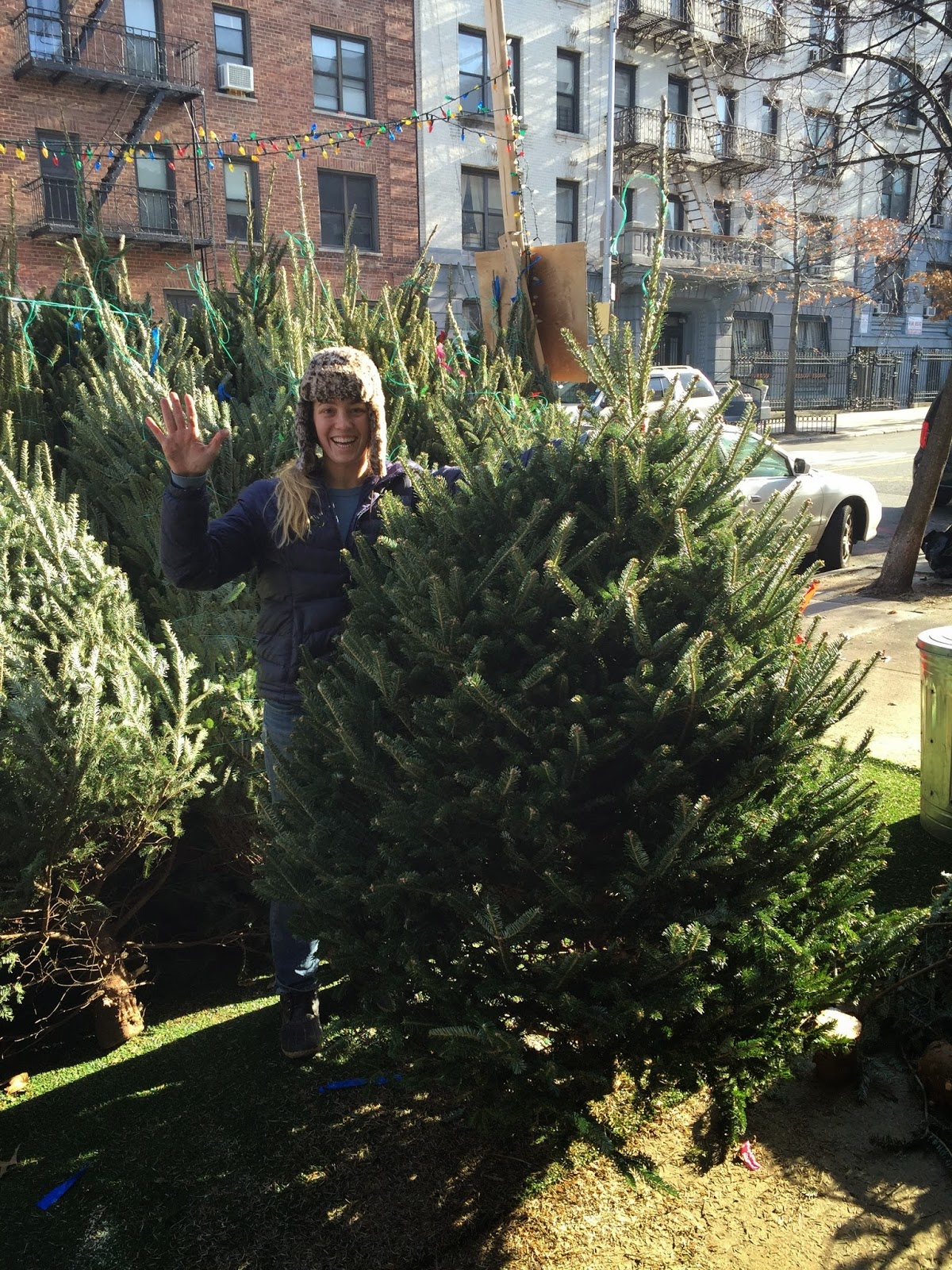 Photo of Christmas Tree NYC in New York City, New York, United States - 7 Picture of Point of interest, Establishment, Store