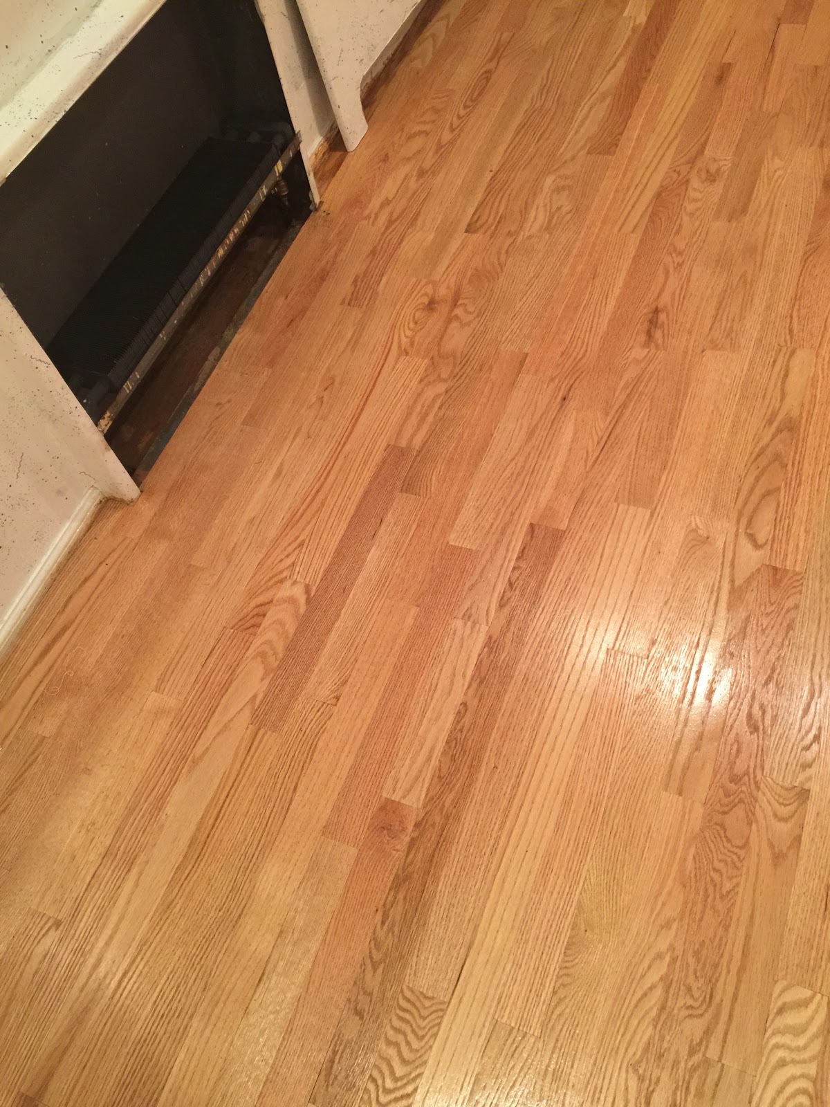 Photo of Gr Construction Woodfloor in Queens City, New York, United States - 1 Picture of Point of interest, Establishment, General contractor