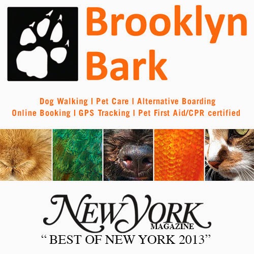 Photo of Brooklyn Bark - Dog Walking and Pet Care in Kings County City, New York, United States - 10 Picture of Point of interest, Establishment